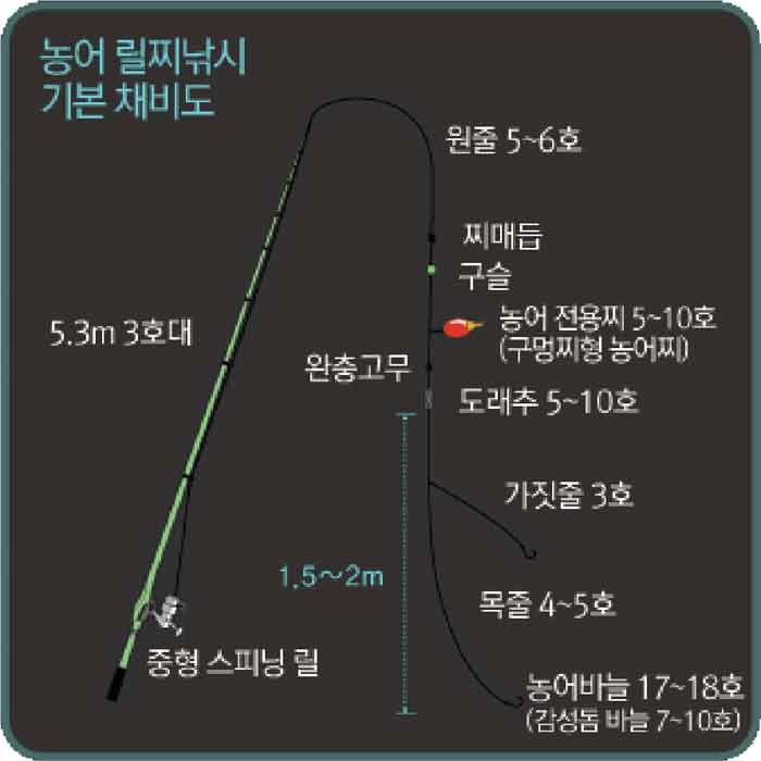 농어 릴찌 낚시 채비