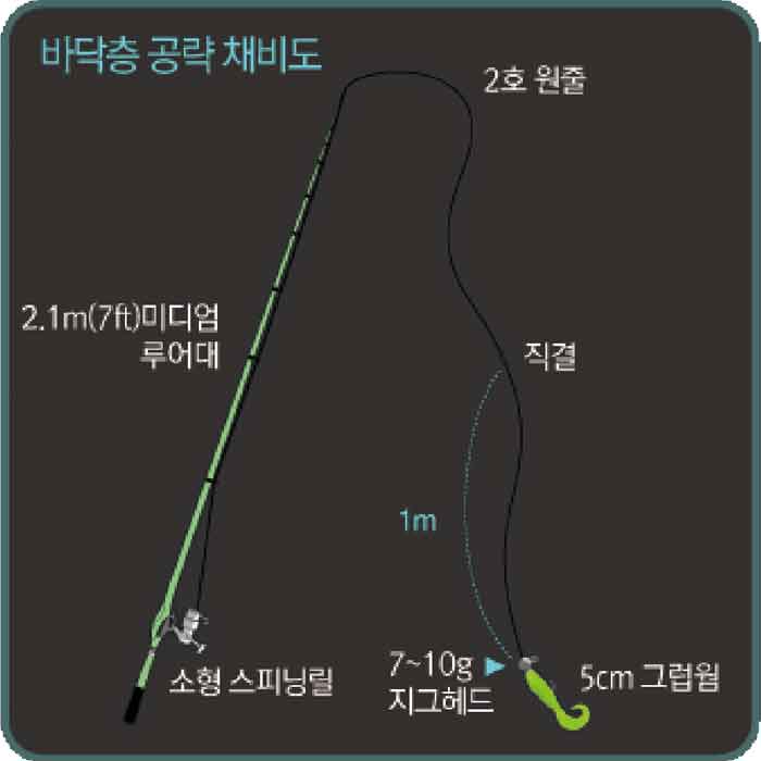 방파제 루어낚시 채비