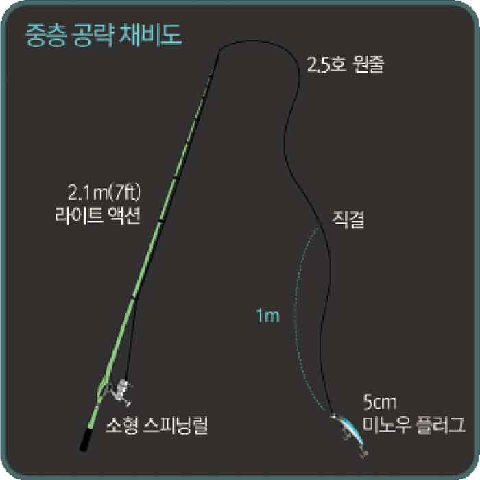방파제 루어낚시 채비
