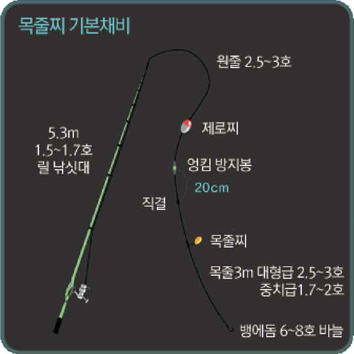 뱅에돔 목줄찌 낚시 채비
